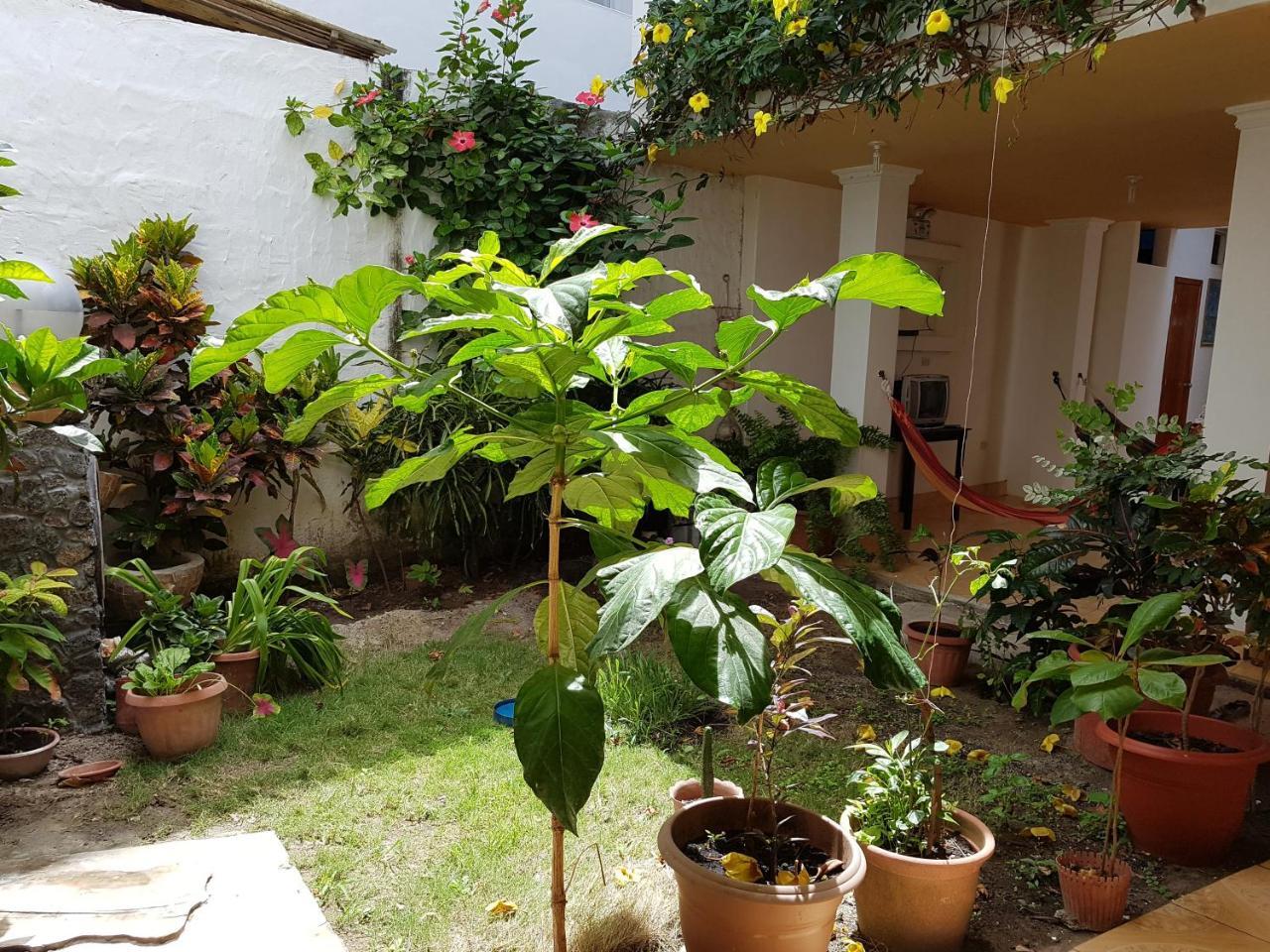 Hostal Cerro Azul Puerto Villamil Eksteriør bilde